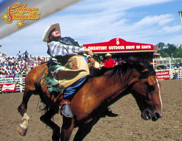 book your calgary stampede parties